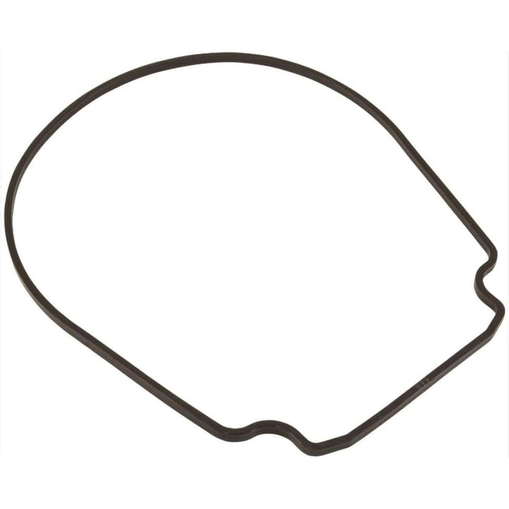 Pentair Seal Plate Gasket | 357102Z