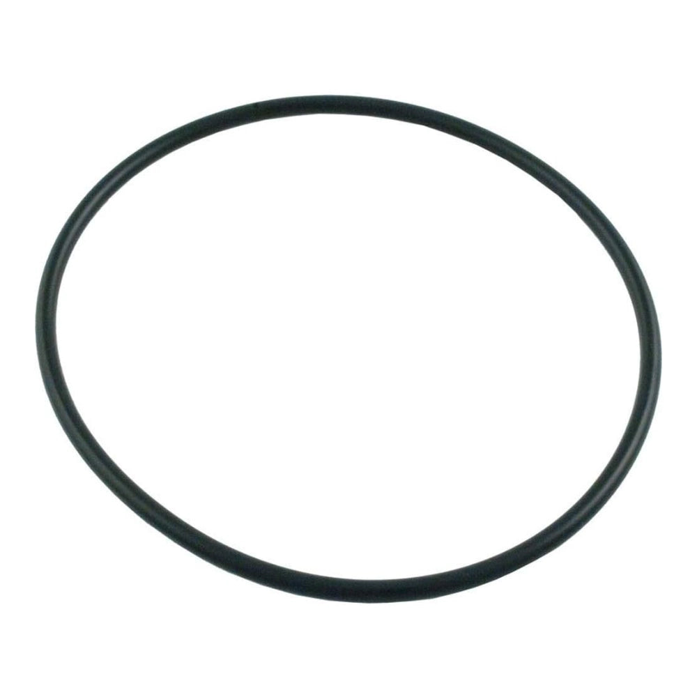 Pentair Seal Plate O-Ring 40 Duro | JWP, JWPA &amp; ABG Series Pumps | 35505-1438
