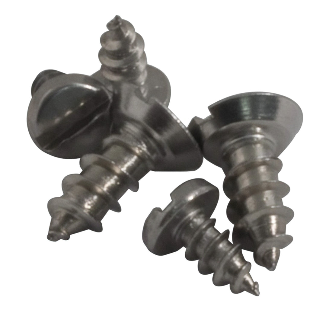 Set of four metallic screws with flat heads and sharp pointed ends arranged closely on a white background