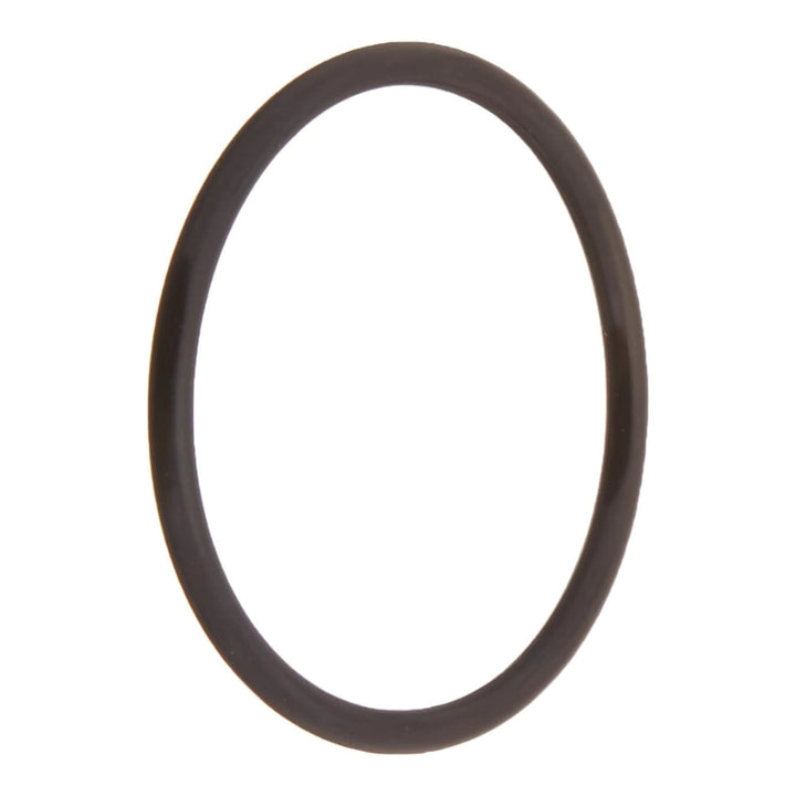 Pentair Standup O-Ring 1/8" x 1-7/8" | Tagelus Sand Filter | 155064