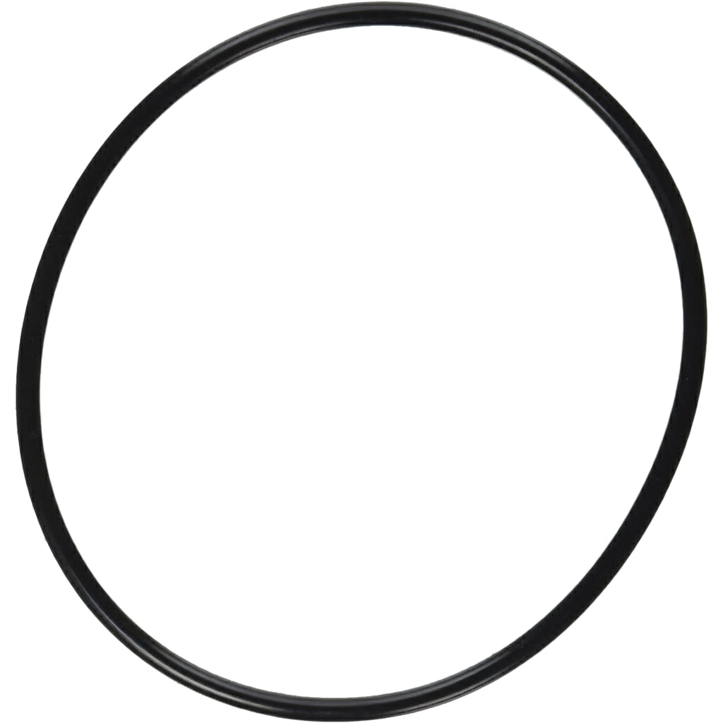 Pentair Lid O-Ring 