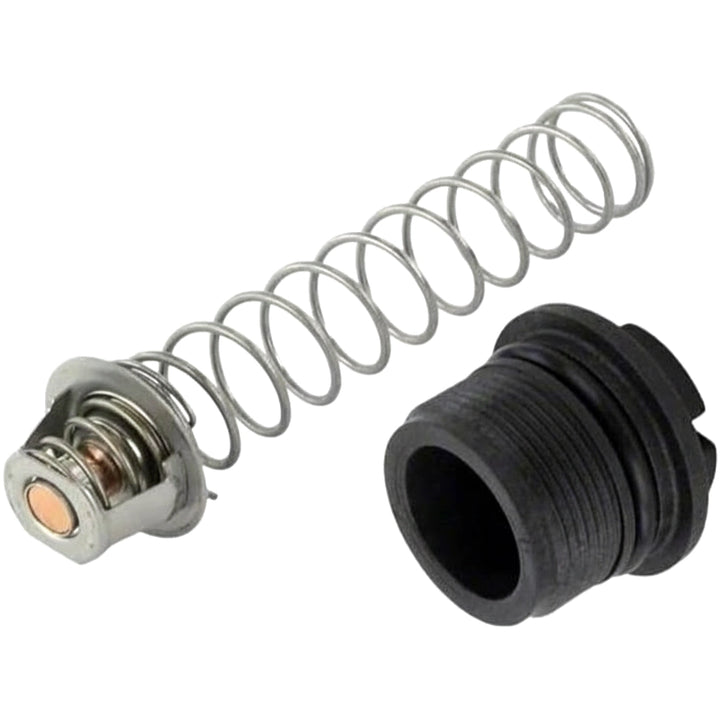 Pentair Thermal Regulator Kit | MasterTemp &amp; Max-E-Therm Pool &amp; Spa Heaters | 77707-0010