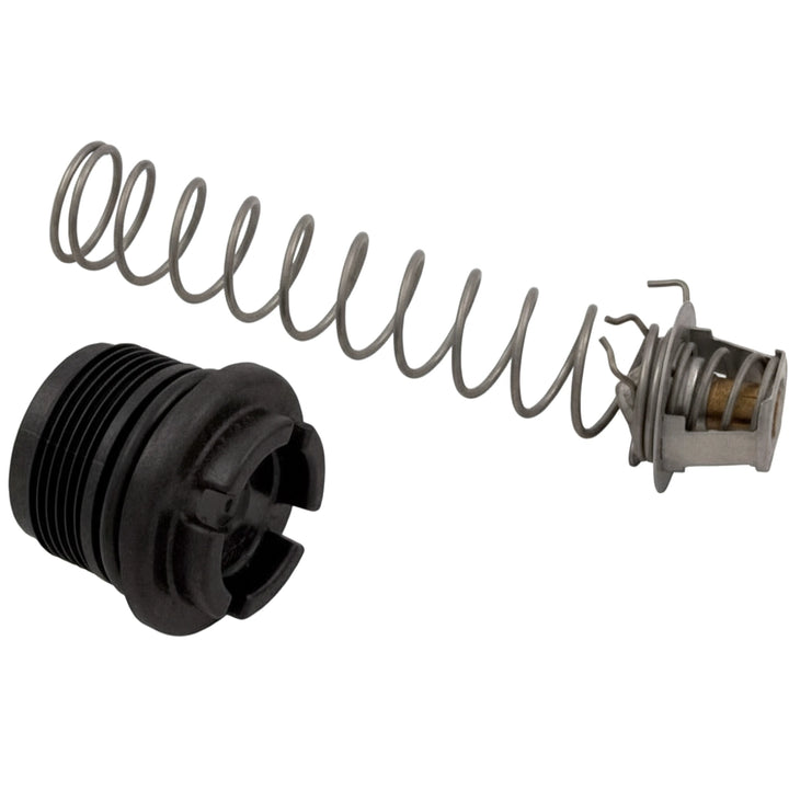 Pentair Thermal Regulator Kit | MasterTemp &amp; Max-E-Therm Pool &amp; Spa Heaters | 77707-0010