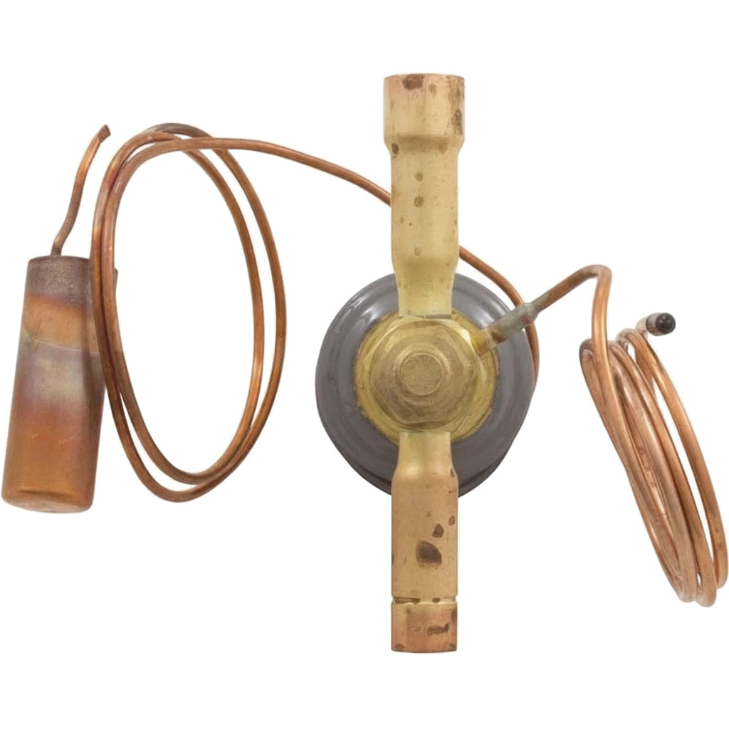 Pentair Thermostatic Expansion Valve | UltraTemp Heat Pump 120HC, 110 | 473999Z