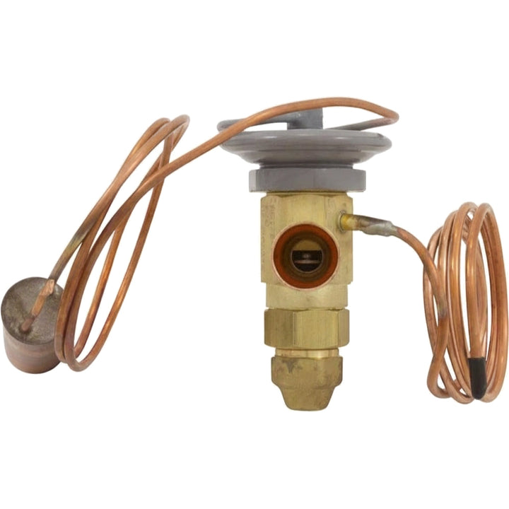 Pentair Thermostatic Expansion Valve | UltraTemp Heat Pump 120HC, 110 | 473999Z