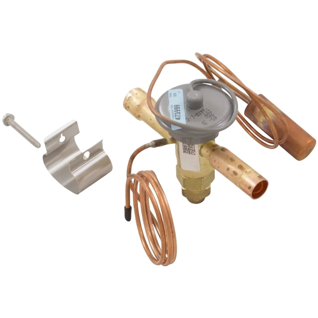 Pentair Thermostatic Expansion Valve | UltraTemp Heat Pump 120HC, 110 | 473999Z