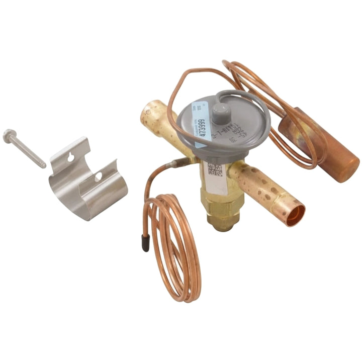 Pentair Thermostatic Expansion Valve | UltraTemp Heat Pump 120HC, 110 | 473999Z
