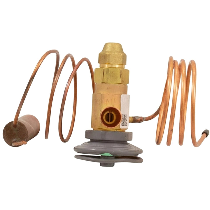 Pentair Thermostatic Expansion Valve | UltraTemp Heat Pump | 473787Z