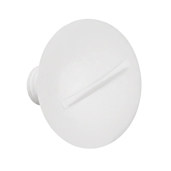 white plastic wheel screw with a flat circular head and a single straight slot for a screwdriver on a white background