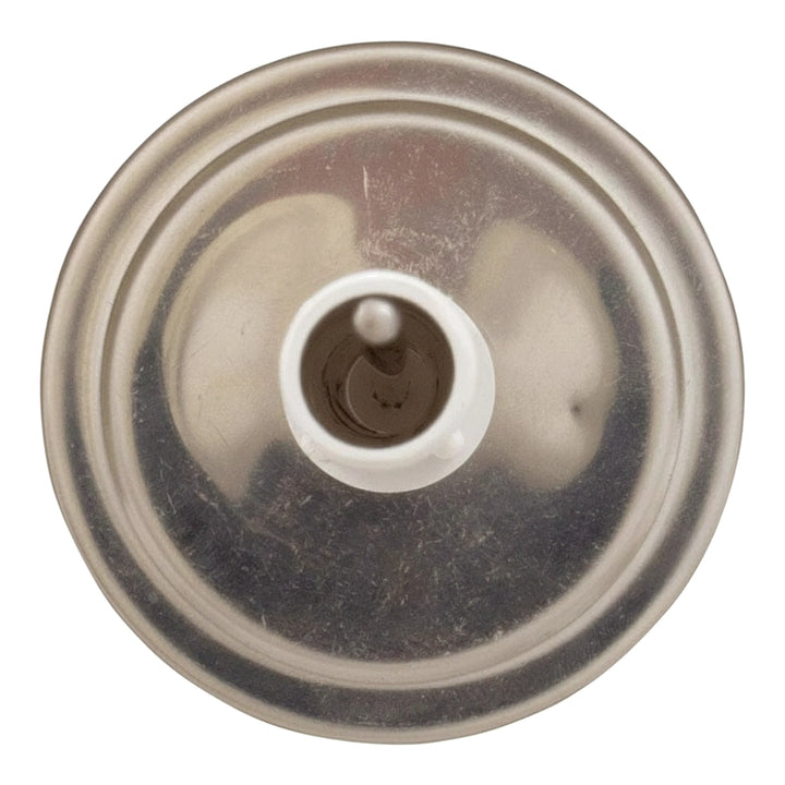 Pentair Thermometer with Tube and Bushing | Skimmer Lid | SKR