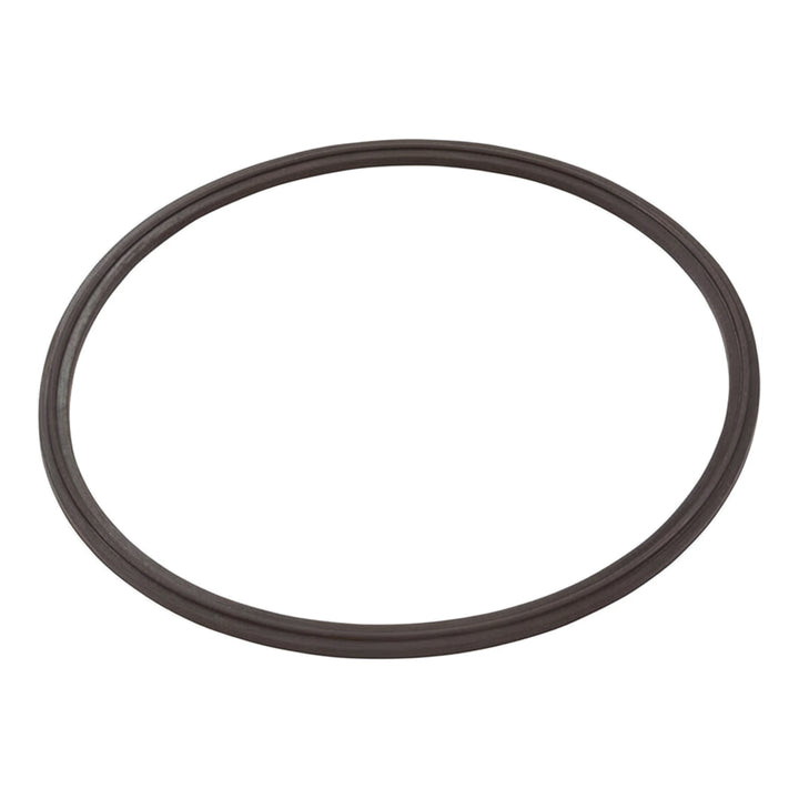 Zodiac Leaf Catcher Seal for Cyclonic Leaf Catcher | R0623300